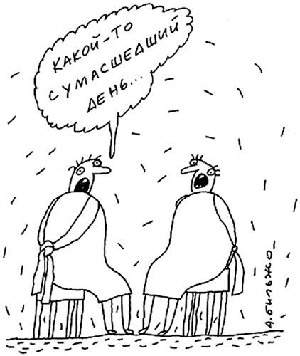 Какой-то сумасшедший день!